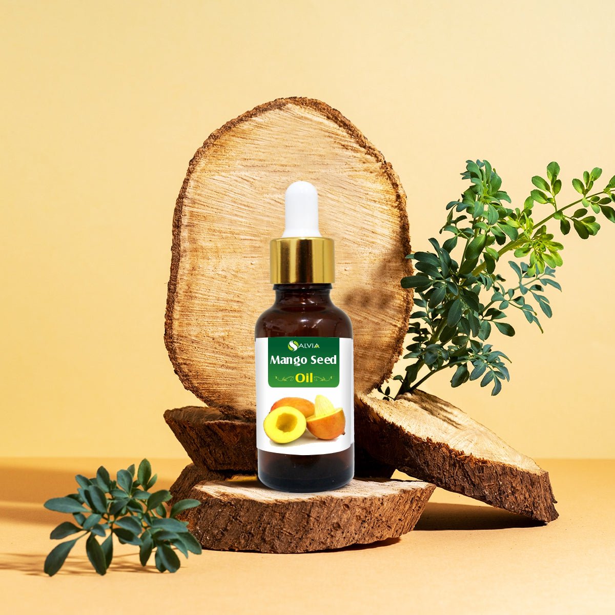 Salvia Natural Carrier Oils Mango Seed Oil Salvia Natural Carrier Oils Mango Seed Oil